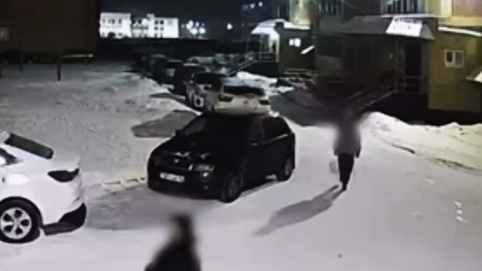 Мы перепроверим обстоятельства дела — МВД о преследовании девушки в Семее