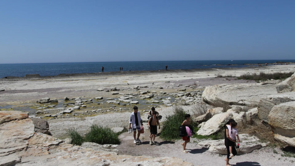 1,1 млрд тенге направлено на изучение и сохранение Каспийского моря