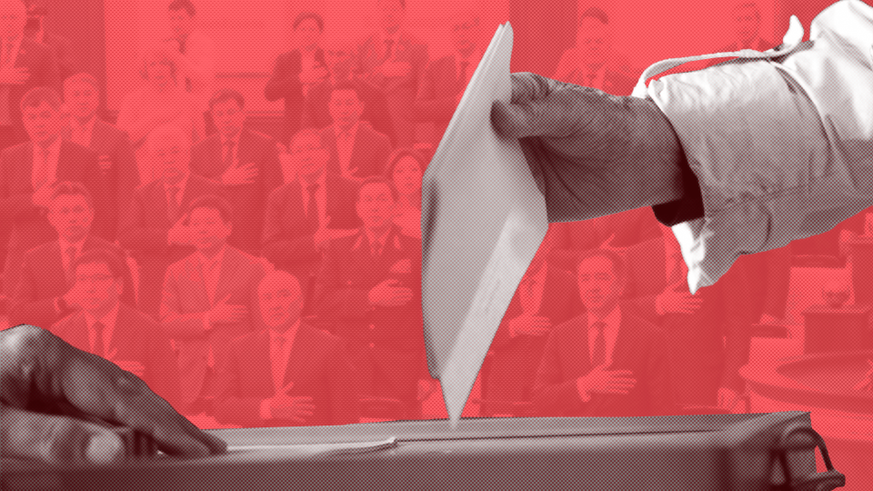 Депутаты Парламента могут досрочно сложить полномочия после референдума